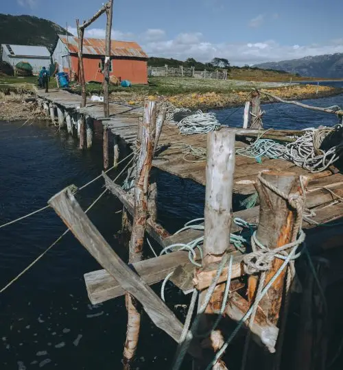 Muelle